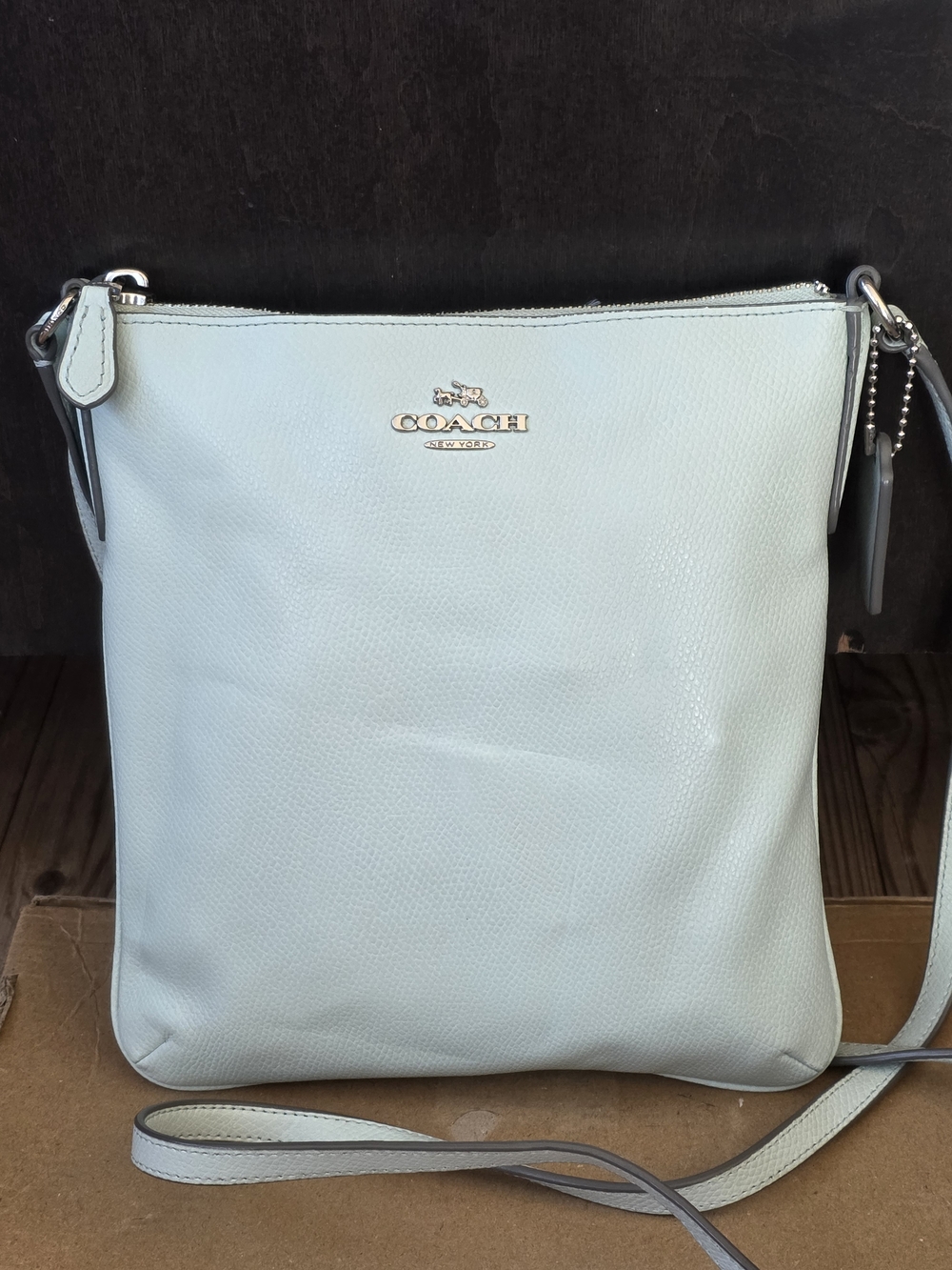 Coach Leather Crossbody Bag Mint